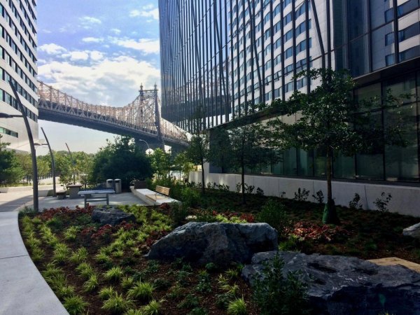 Roosevelt Island, August 2017, History Meets Future Yes, next to the freshly planted garden, that's a ping pong table. Let the tournaments begin!